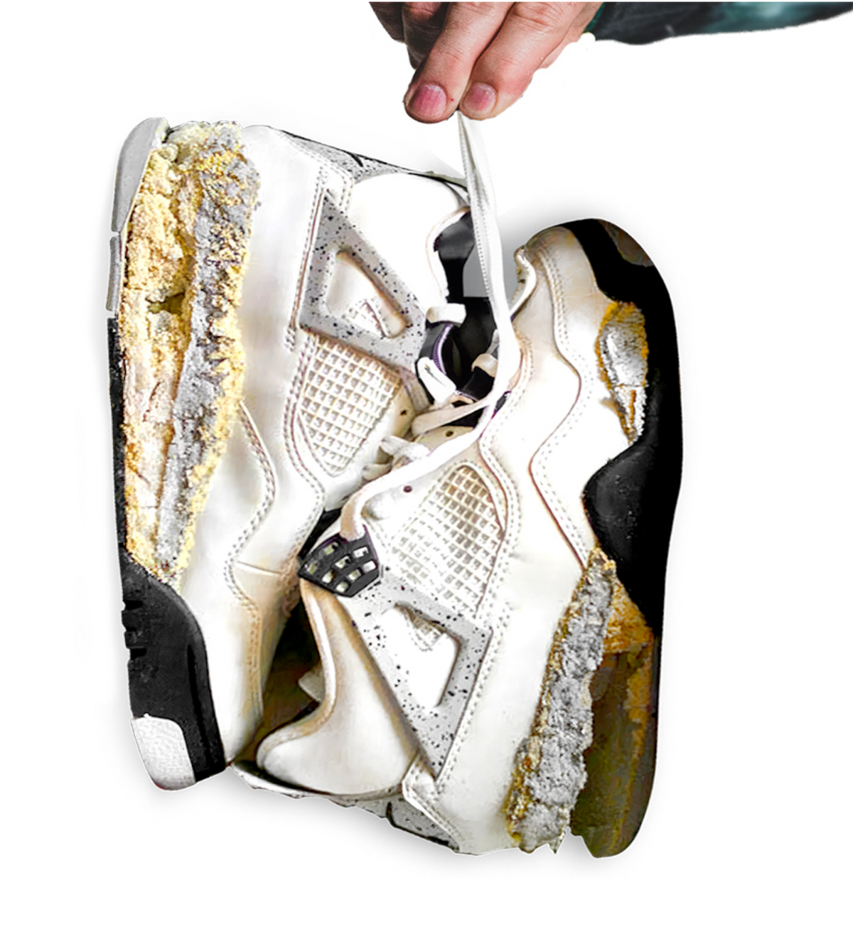 capsole image